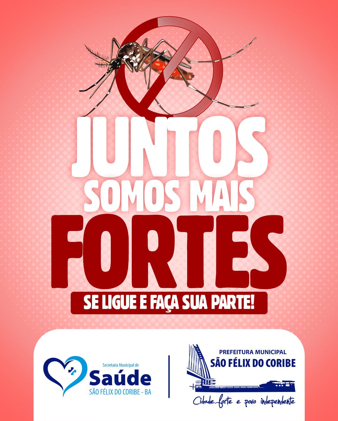 MUTIRÃO CONTRA A DENGUE