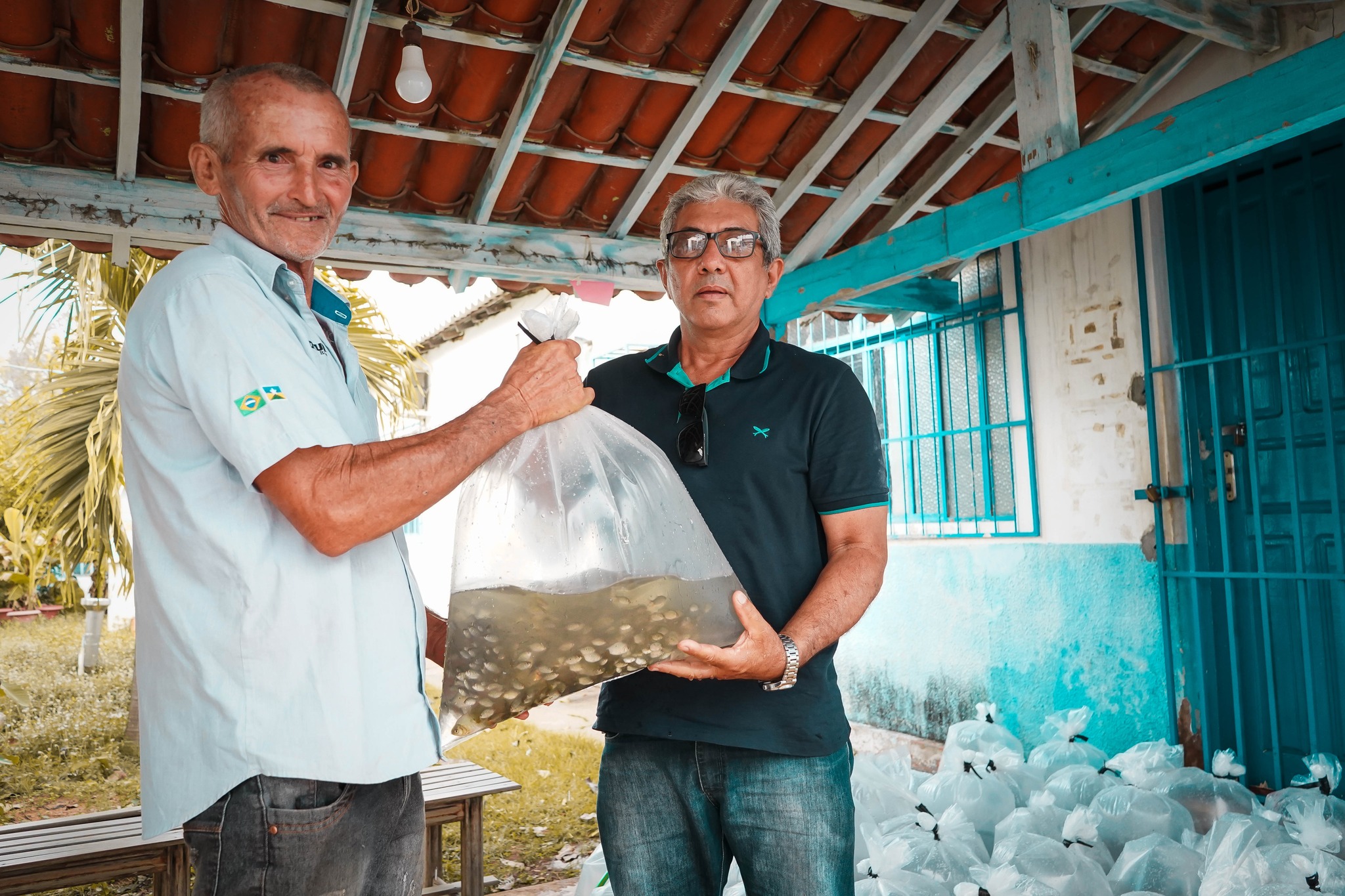 DISTRIBUIÇÃO DE ALEVINOS PARA PEQUENOS PRODUTORES