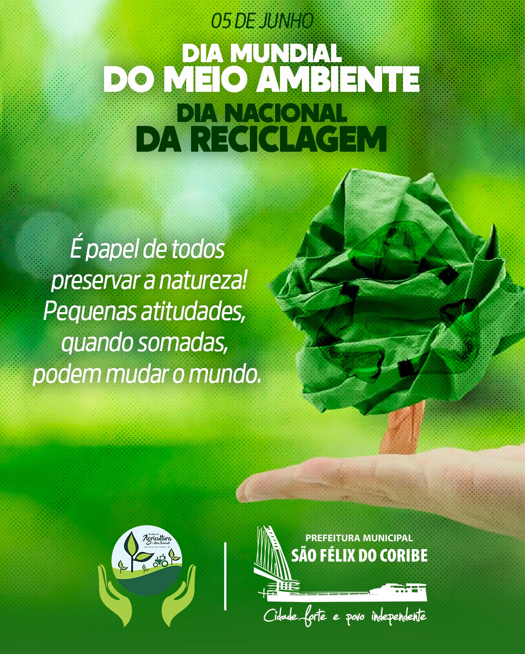 DIA MUNDIAL DO MEIO AMBIENTE