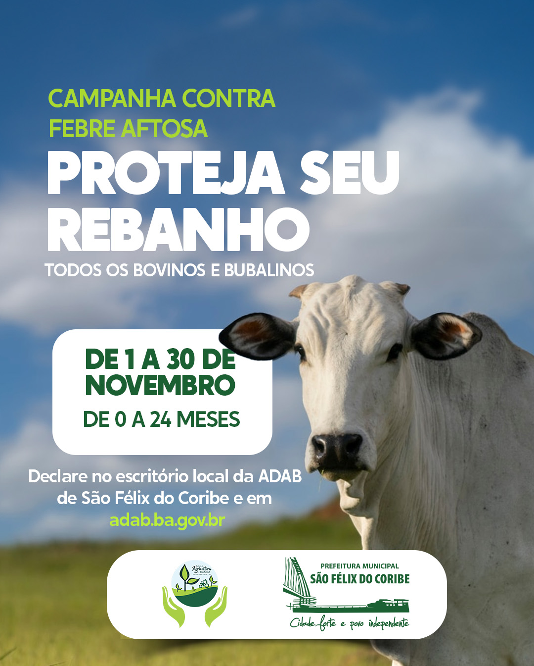 CAMPANHA CONTRA FEBRE AFTOSA 2023 - PROTEJA SEU REBANHO